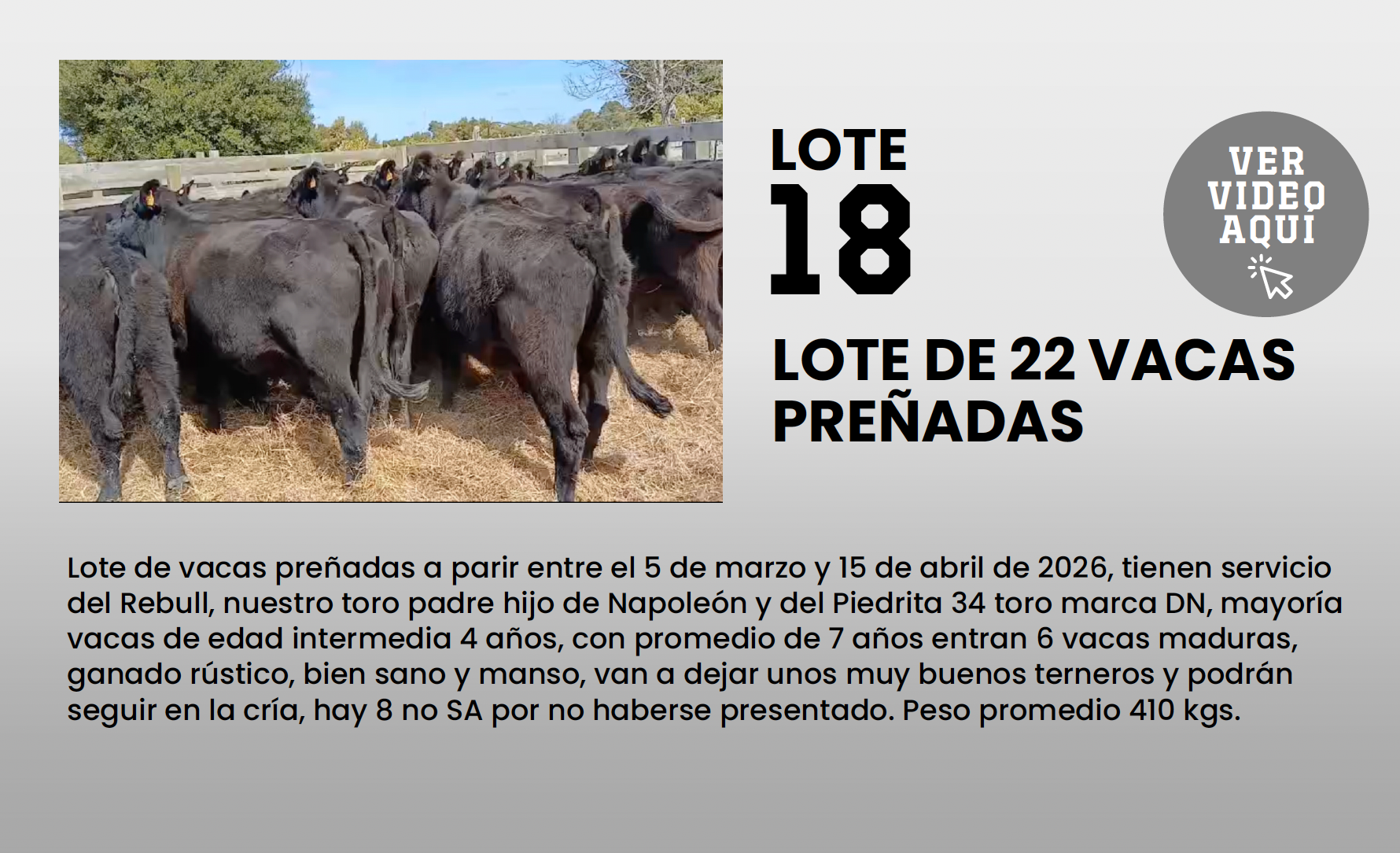 Foto del lote
